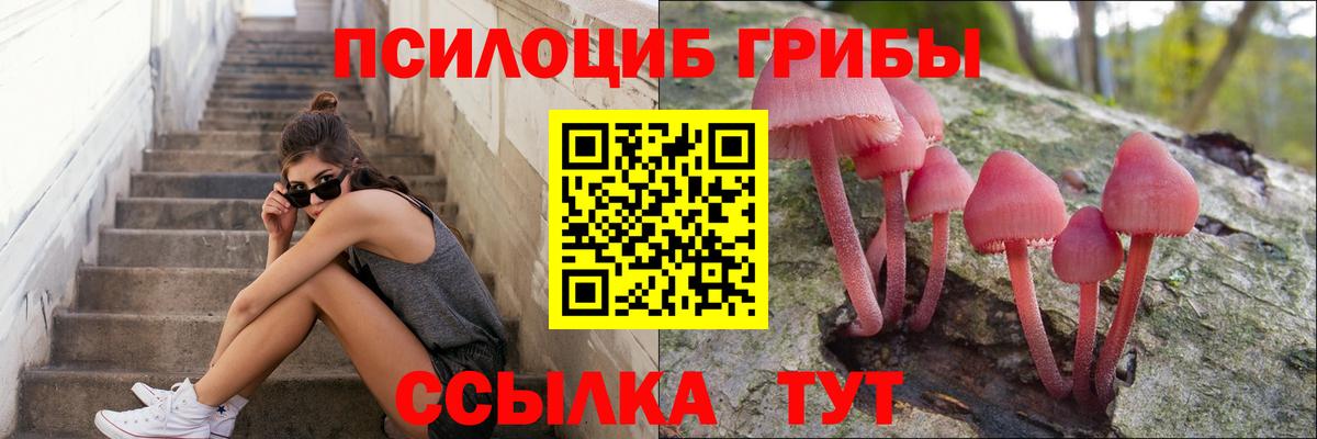 Галлюциногенные грибы мицелий  Вход с VPN  Валуйки 